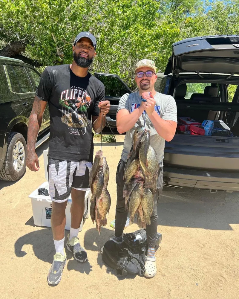 迷和专家们 迷和专家们