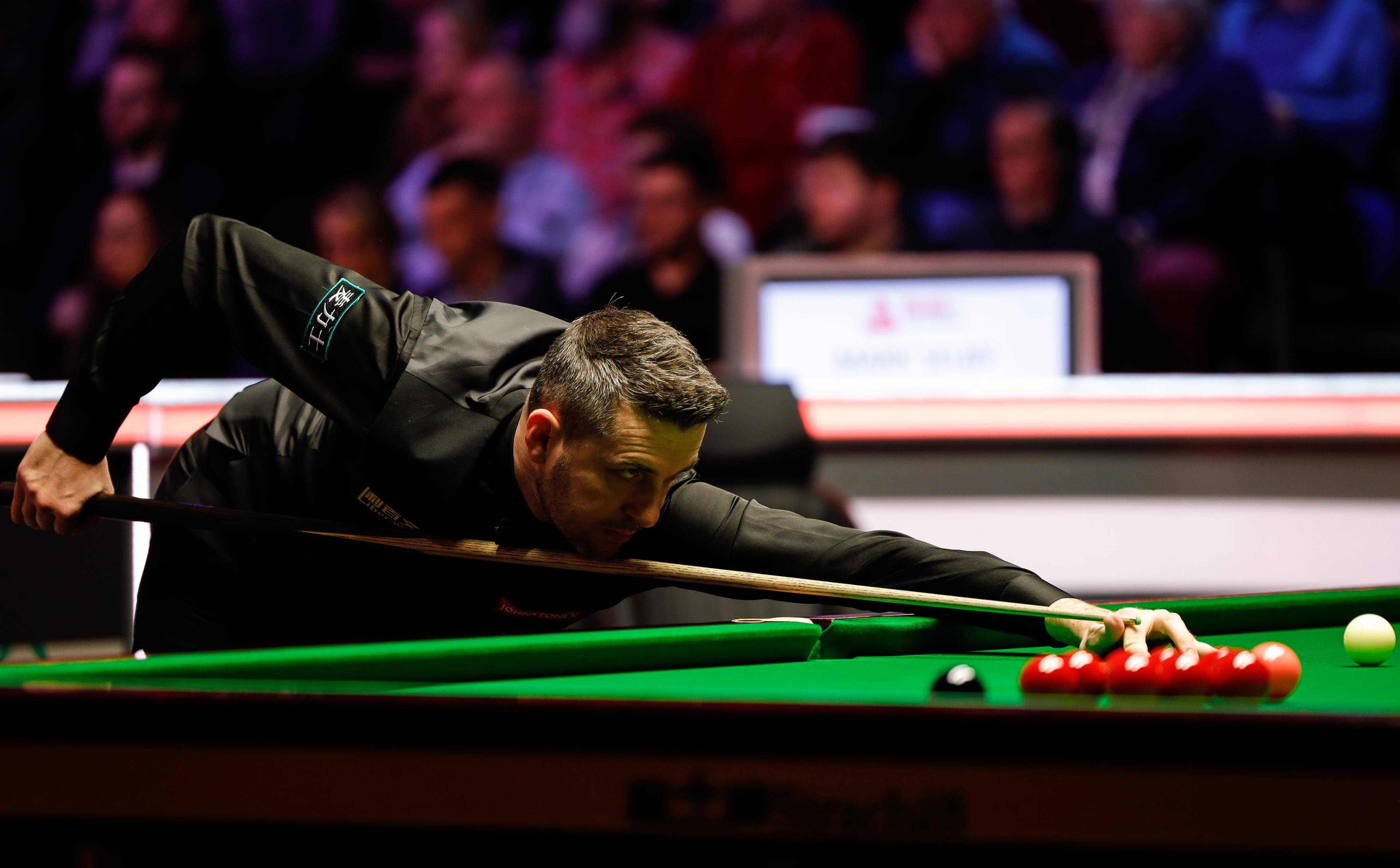 很可能从 很可能从