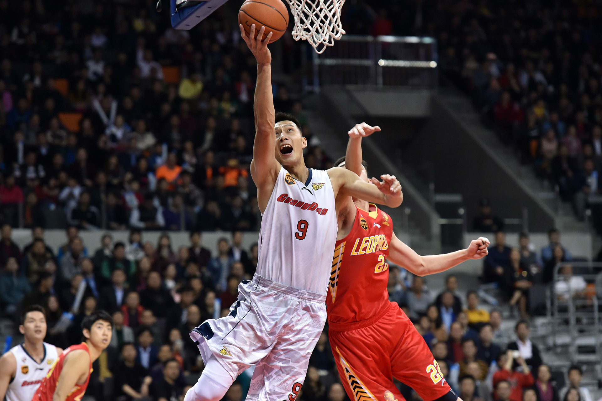 让我们看到 让我们看到