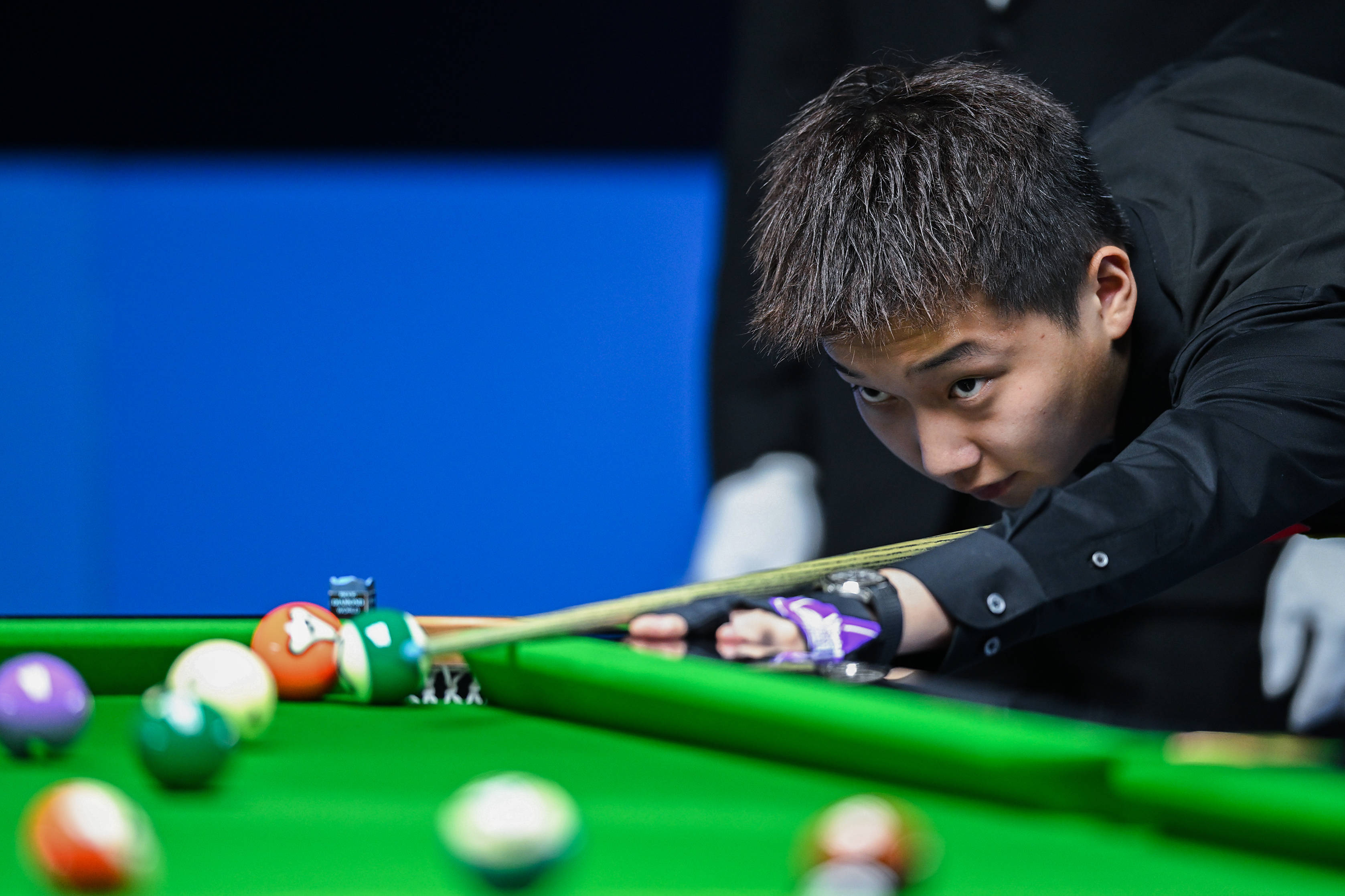 场的组织与 场的组织与